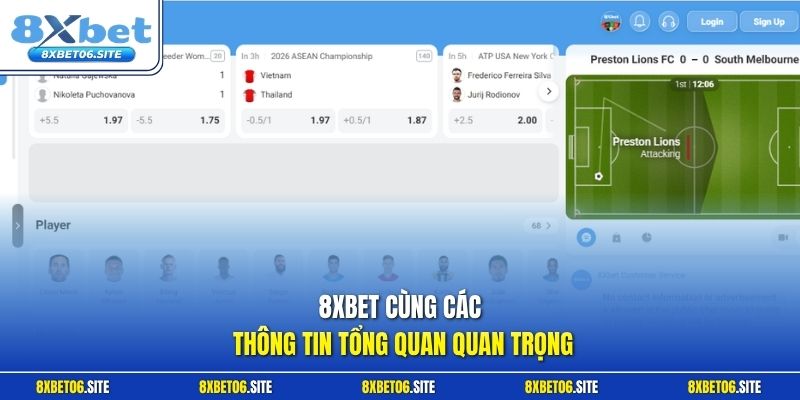 8xbet cùng các thông tin tổng quan quan trọng