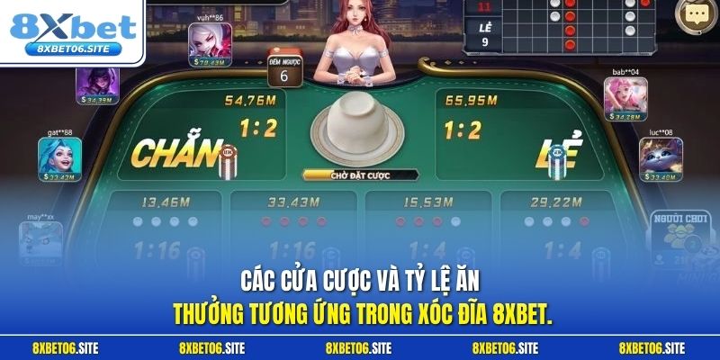 Các cửa cược và tỷ lệ ăn thưởng tương ứng trong xóc đĩa 8xbet