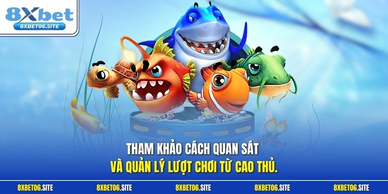 Tham khảo cách quan sát và quản lý lượt chơi từ cao thủ