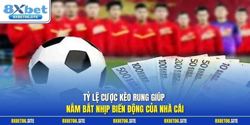 Tỷ lệ cược kèo rung giúp nắm bắt nhịp biến động của nhà cái